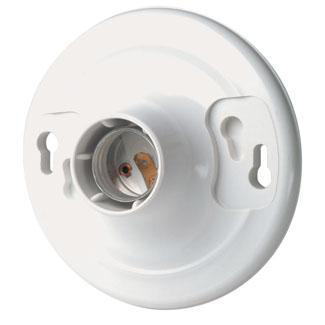 Use Par 38 Bulb Weatherproof Swivel Lampholder Gray Traditional or CFL 